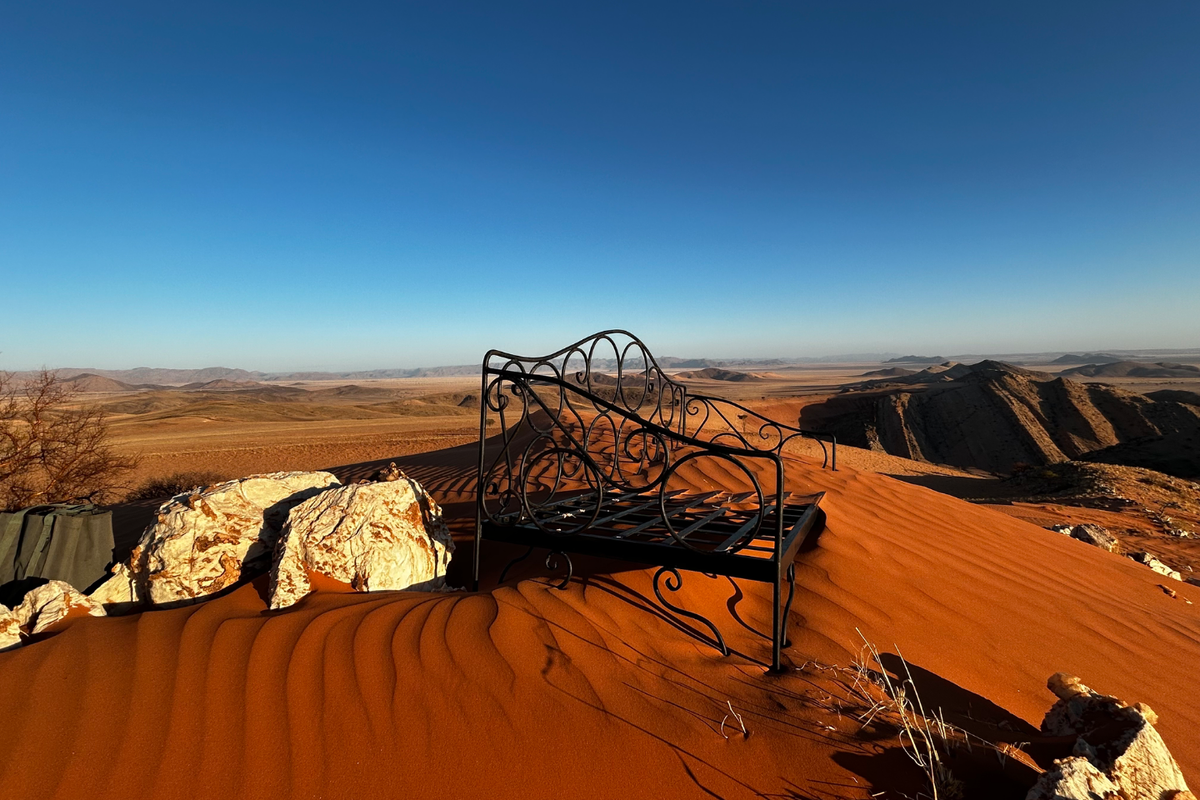 Untouched Desert Beauty - Photo 4