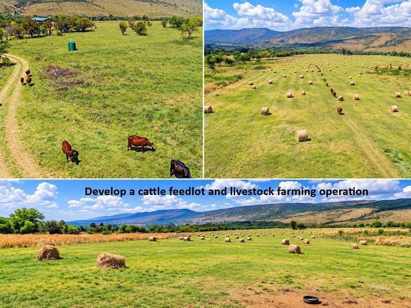 Aerial view of expansive farm land suitable for cattle feedlot and livestock farming operations, featuring open grazing fields and mountain views.