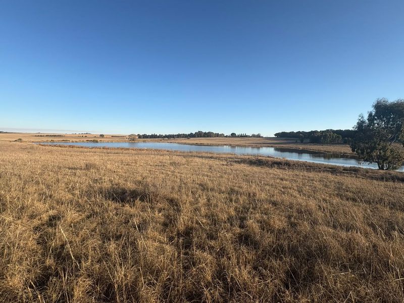 A scenic view of the farm property featuring expansive dry pasture land and a natural dam under a clear blue sky.