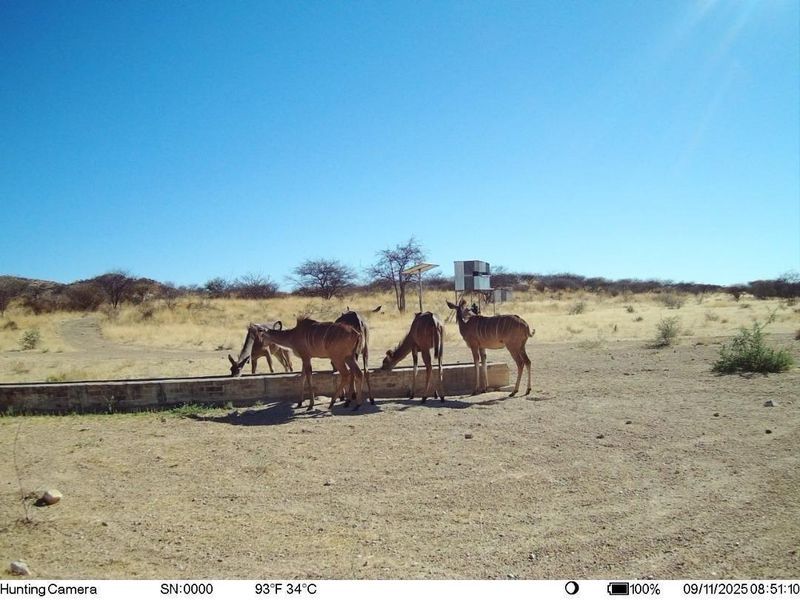 Omaruru- Large Game farm with strong water - Photo 9