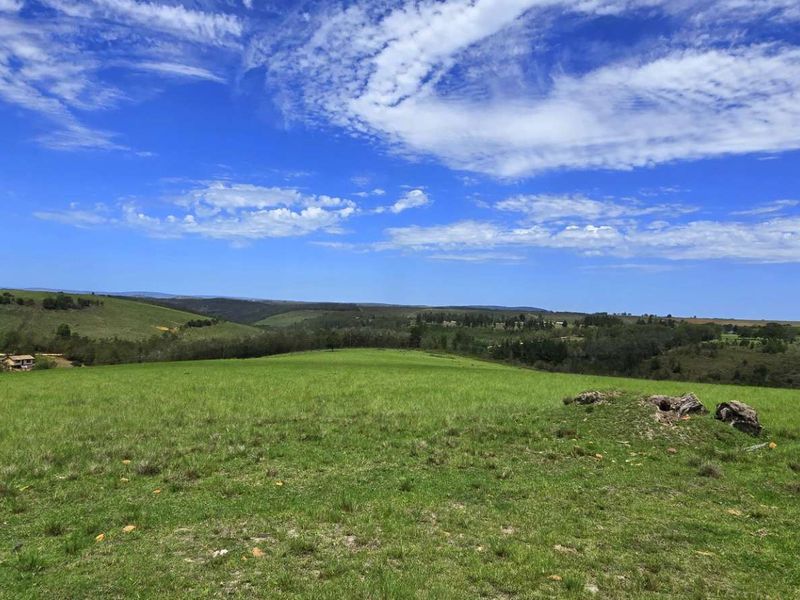 Spectacular Agricultural Opportunity in Ruiterbosch - Photo 10
