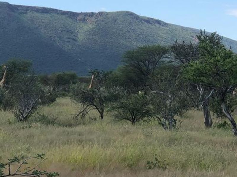 Large Game Farm close to the Erindi Game Reserve- 7900 HA - Photo 9