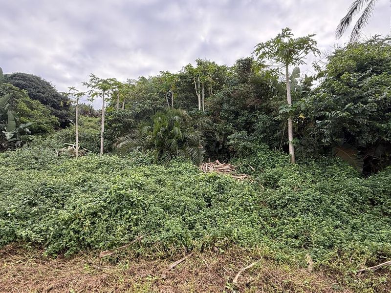 Vacant land in Tinley Manor - Photo 6