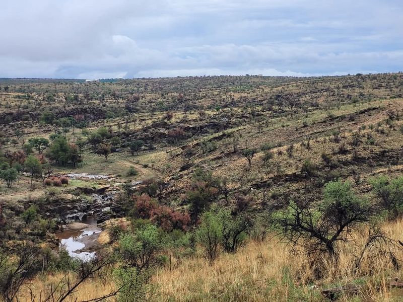 Vacant 13HA undeveloped land for Sale in Daan Viljoen area - Photo 6