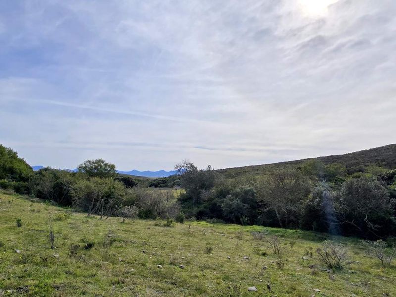 Prime 262ha Agricultural Farm for Sale Near Hartenbos - Photo 7