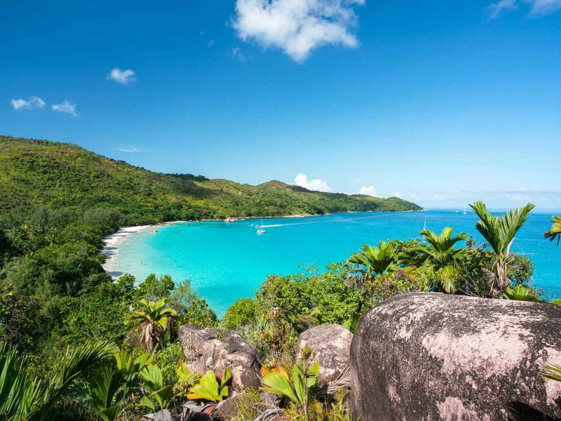 A stunning elevated view overlooking a pristine tropical beach with turquoise waters, lush green hills, and coastal vegetation.