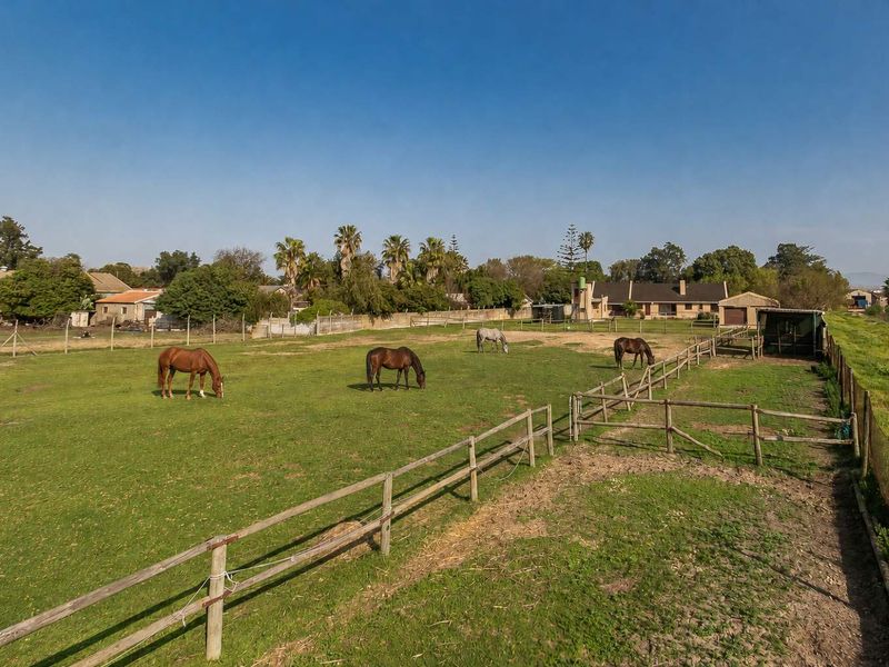 Expansive small holding paddock area featuring post and rail fencing, established trees, and a functional outbuilding in a rural setting.