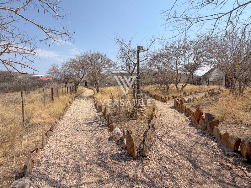 A gravel pathway with stone edging leads through a dry, natural garden area on the small holding property.