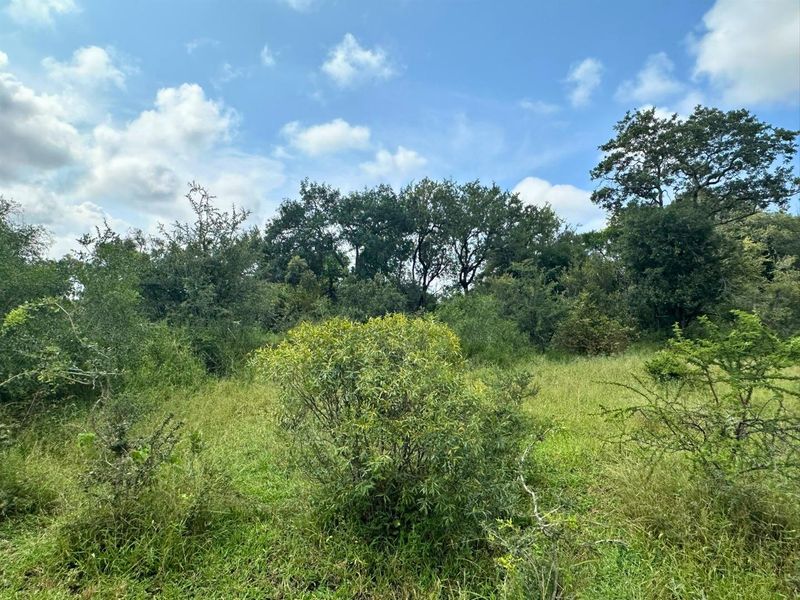 12,000 m2 Riverfront Stand in Moditlo Wildlife Estate - Photo 8