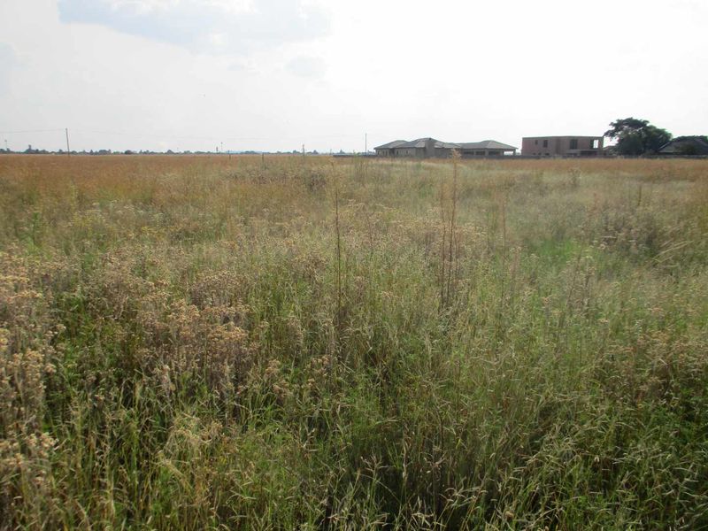 A wide-angle view of a large, undeveloped residential plot covered in natural grass and vegetation, suitable for future construction.