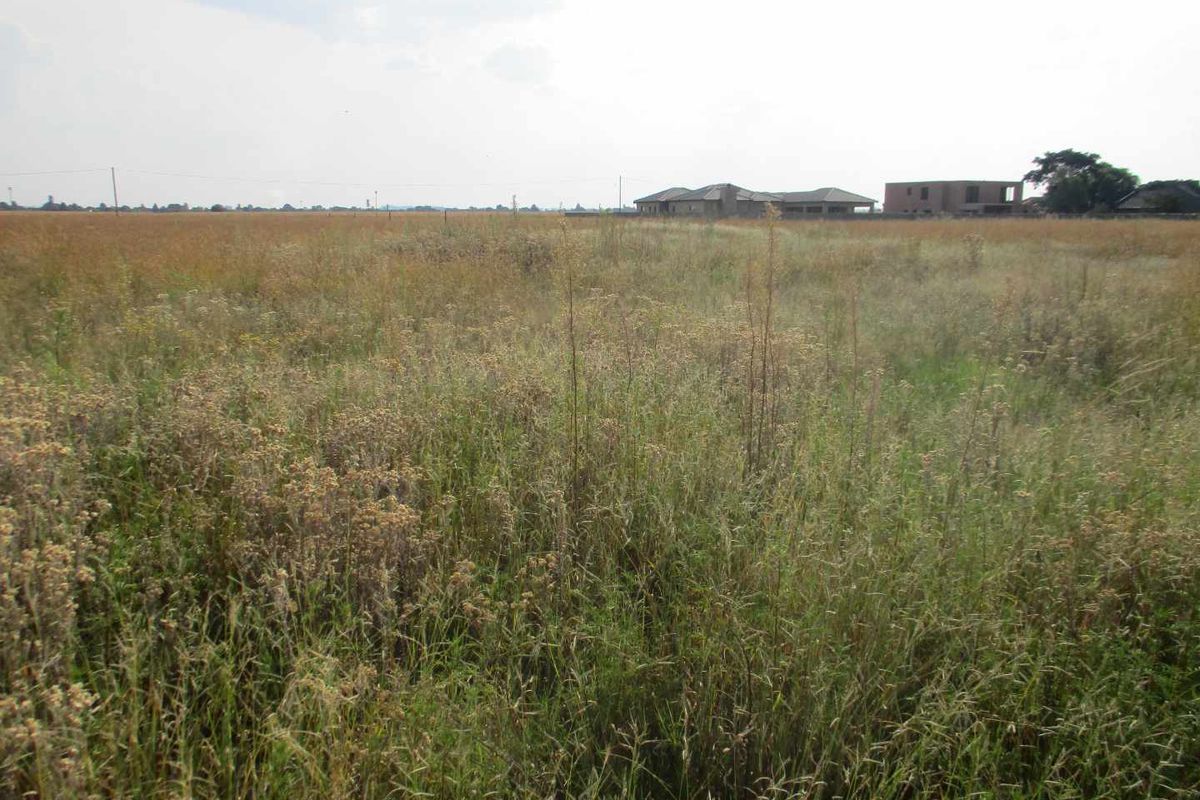 A wide-angle view of a large, undeveloped residential plot covered in natural grass and vegetation, suitable for future construction.