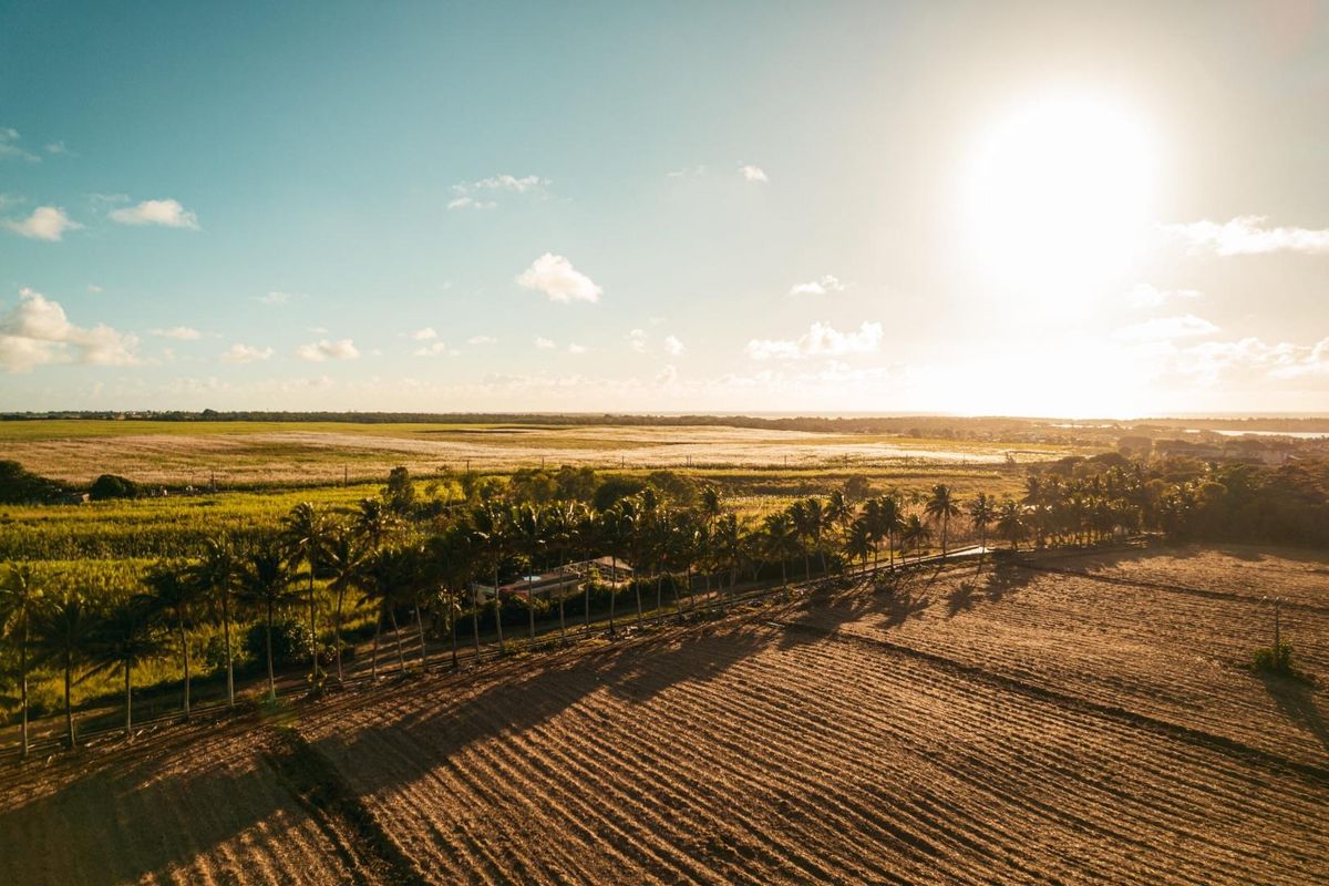 An aerial view of the surrounding landscape and agricultural fields, showcasing the property's expansive rural setting and natural environment.
