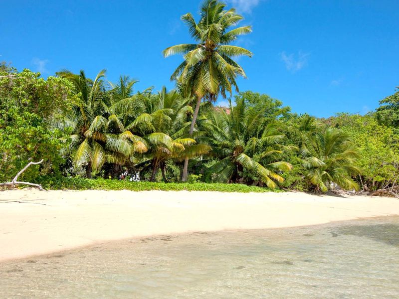 A Slice of Paradise - Grand Anse, Praslin - Photo 8