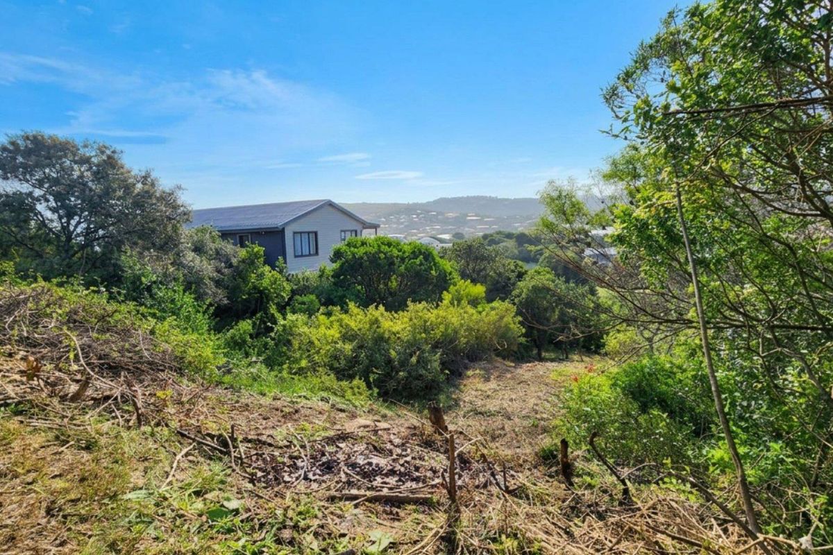 A view of the vacant residential land featuring natural vegetation and surrounding landscape with distant neighborhood views.