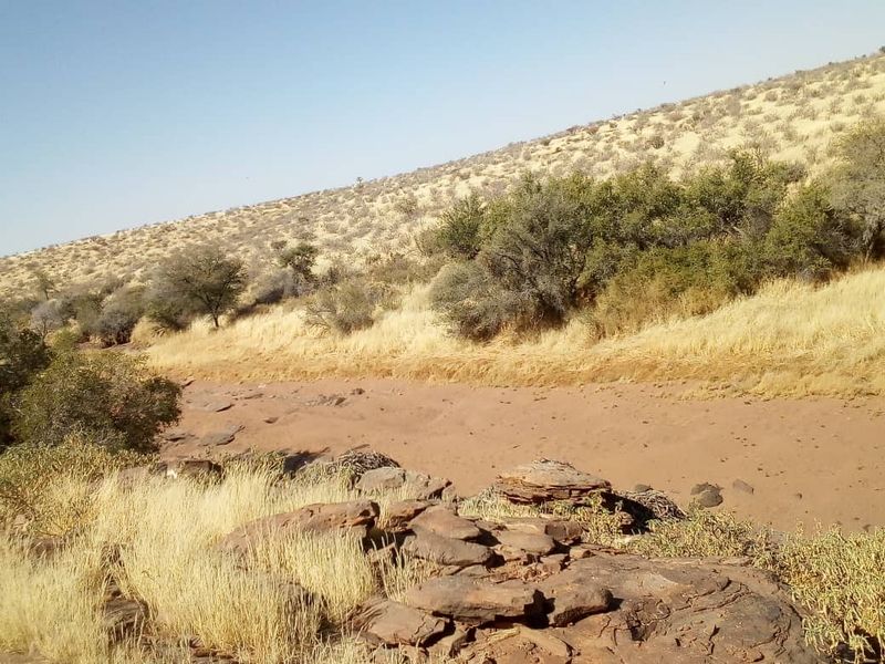 Expansive 9,654-Hectare Farm: Ideal for Agriculture & Serene Living - Photo 4