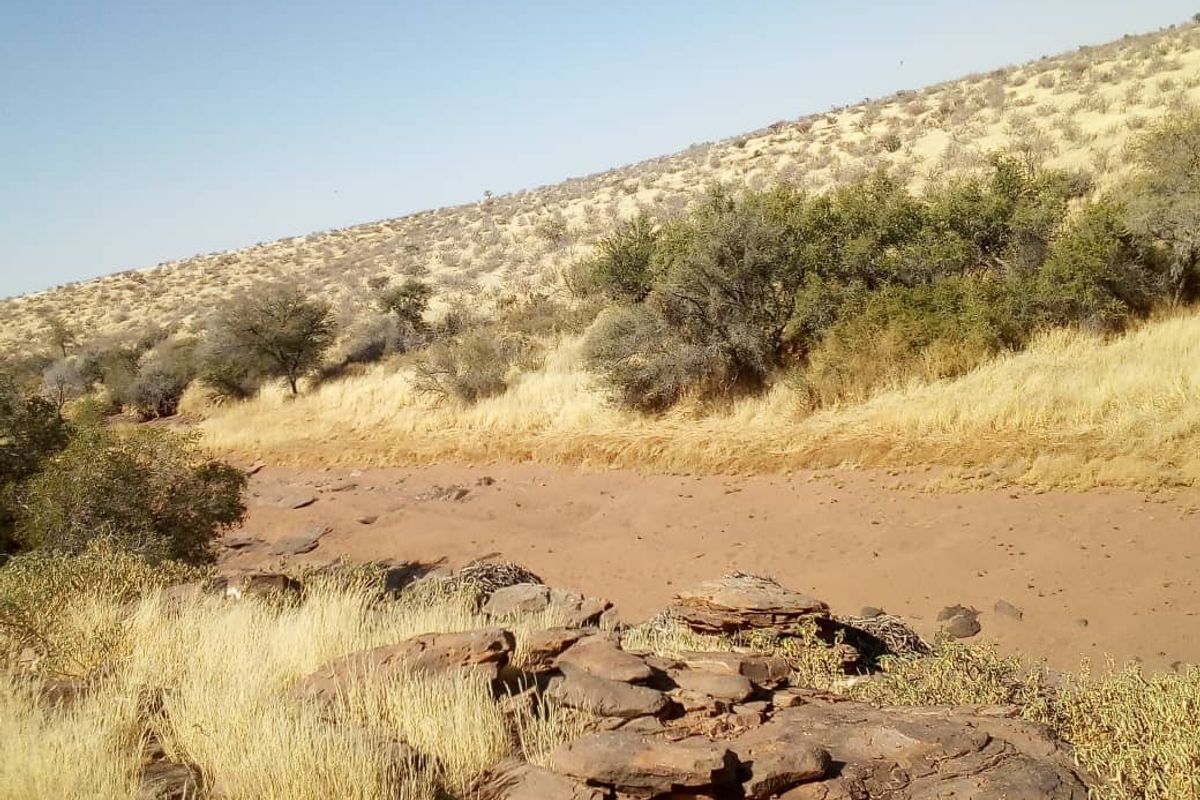 Expansive 9,654-Hectare Farm: Ideal for Agriculture & Serene Living - Photo 4