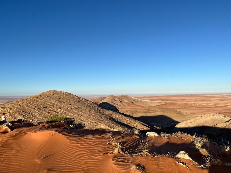 Untouched Desert Beauty - Photo 6