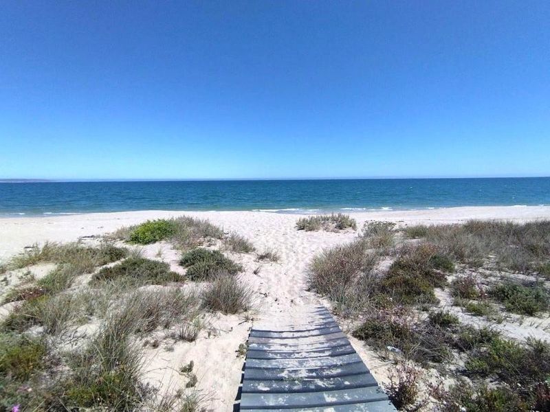 A scenic view of a sandy beach and ocean, featuring a wooden boardwalk path leading through the coastal dunes.