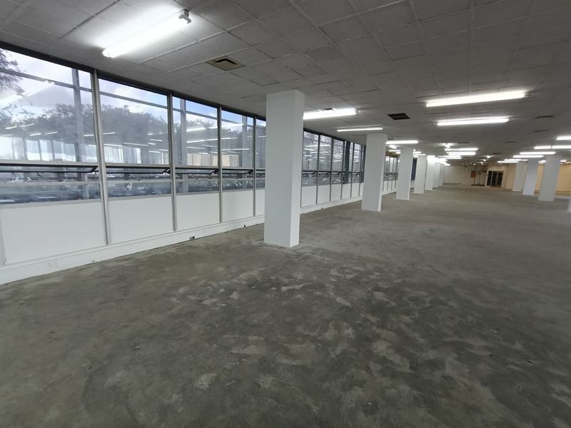 A large, open-plan office space featuring expansive windows, structural columns, and a suspended ceiling, currently in a vacant, shell-like condition.