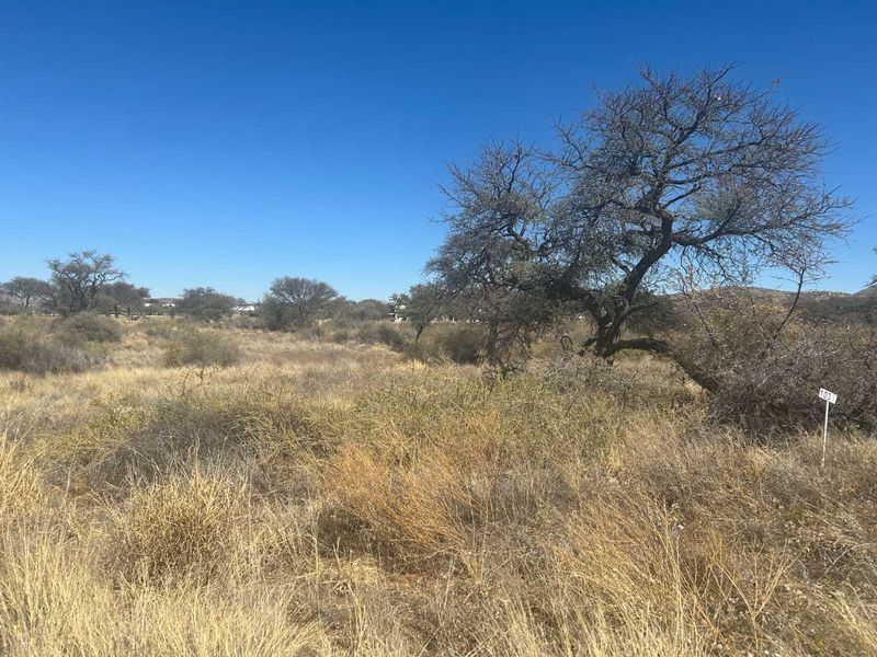 A view of a vacant residential plot featuring native vegetation, mature trees, and a lot marker under a clear blue sky.