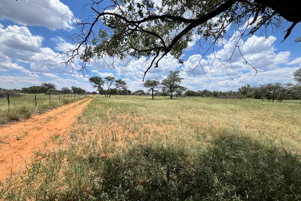 Discover this incredible 4500ha farm offering a perfect blend of modern infrastructure, abundant water resources, and rich wildlife - Photo 5