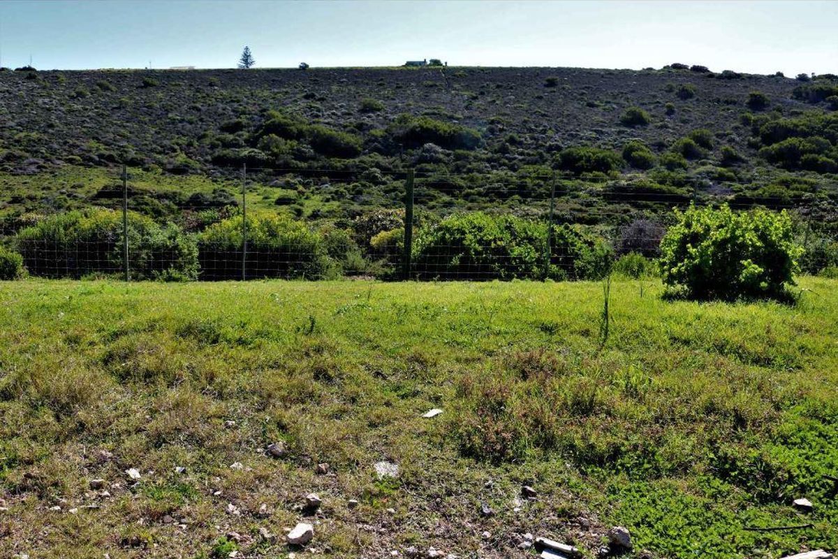 Family Fun Time - Vacant Stand With Sea View - Photo 4