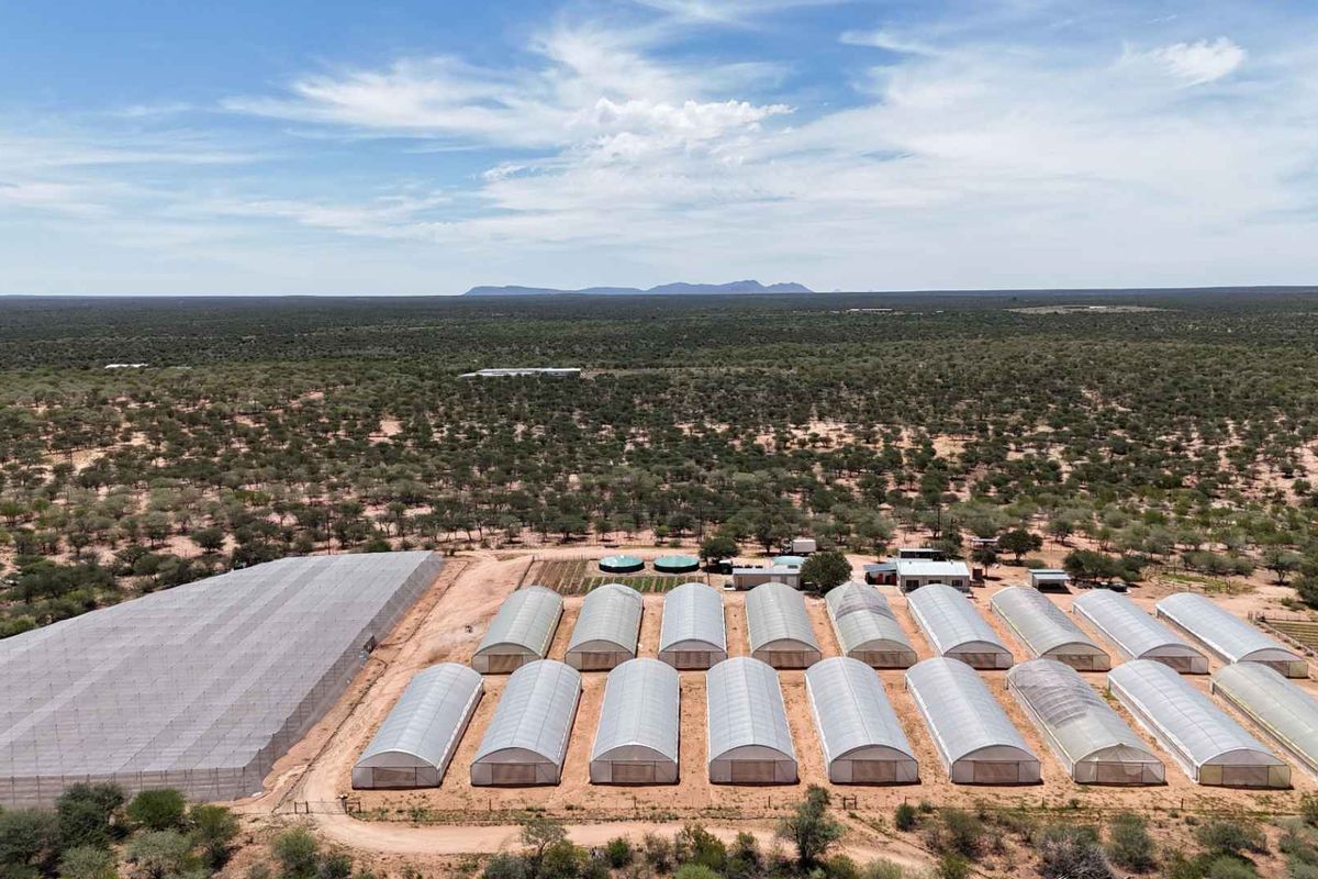 Idyllic 25Ha Horticultural Plot for sale with stunning views and a thriving vegetable farm! A true gem near Okahandja! - Photo 2