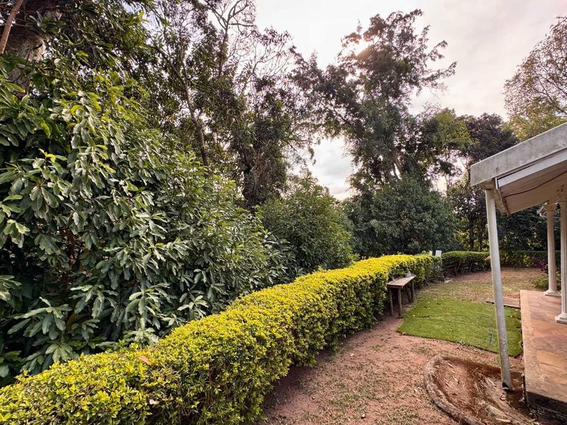 TO RENT - Charming 3-Bedroom Family Home with Separate Flatlet in Westville - Photo 10
