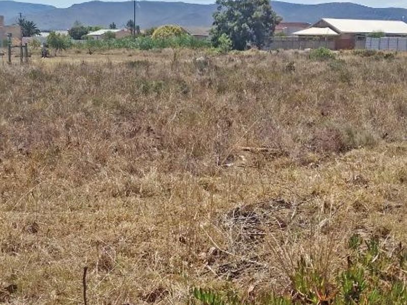 Sail into the sunset - Photo 7