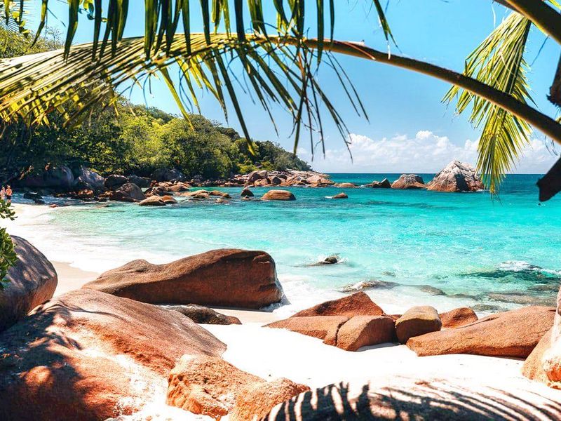 A Slice of Paradise - Grand Anse, Praslin - Photo 3