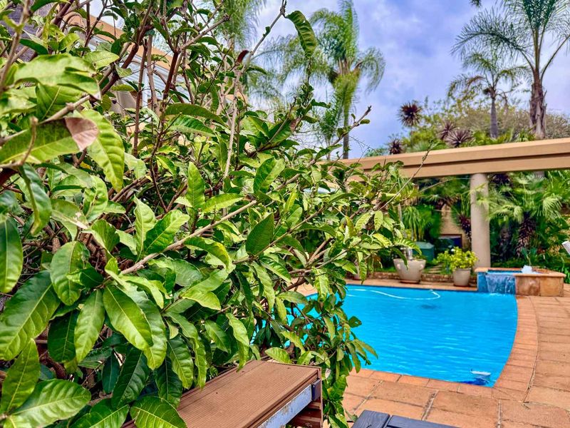 A well-maintained outdoor pool area featuring a paved deck, covered patio space, and lush surrounding garden landscaping.