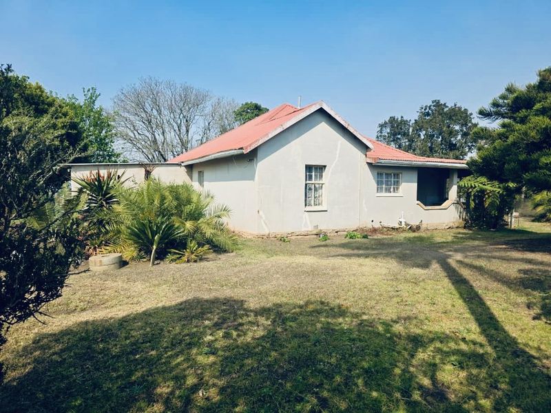 A view of the rear exterior of a single-story house featuring a red corrugated metal roof and established garden surroundings.