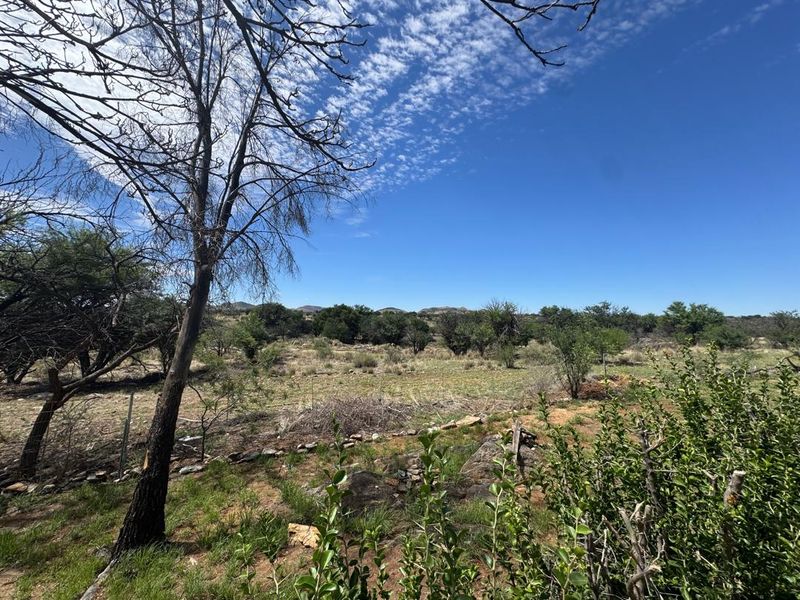 A scenic view of the open farm landscape featuring natural vegetation, scattered trees, and distant hills under a clear blue sky.