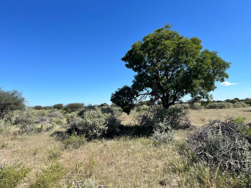 A beautiful, well-established cattle farm in the sought-after Otavi area — known for its excellent grazing and reliable rainfall. - Photo 4