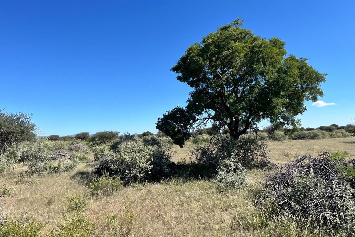 A beautiful, well-established cattle farm in the sought-after Otavi area — known for its excellent grazing and reliable rainfall. - Photo 4
