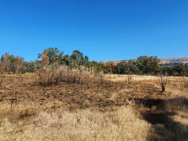 PRIME VACANT LAND IN RUIMSIG ! - Photo 2