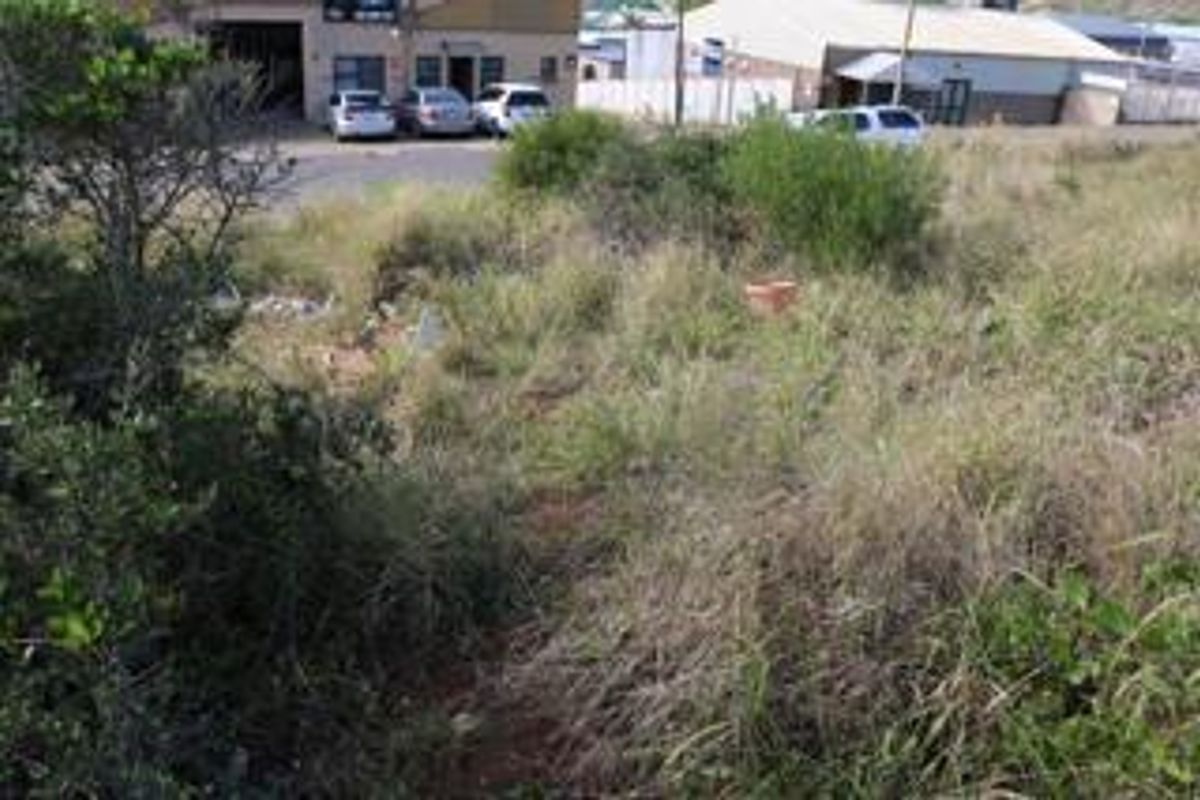 3968m2 Industrial Land for Sale in Diaz Industrial - Photo 2