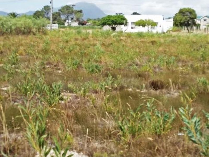 A Haven to Hold - Photo 2