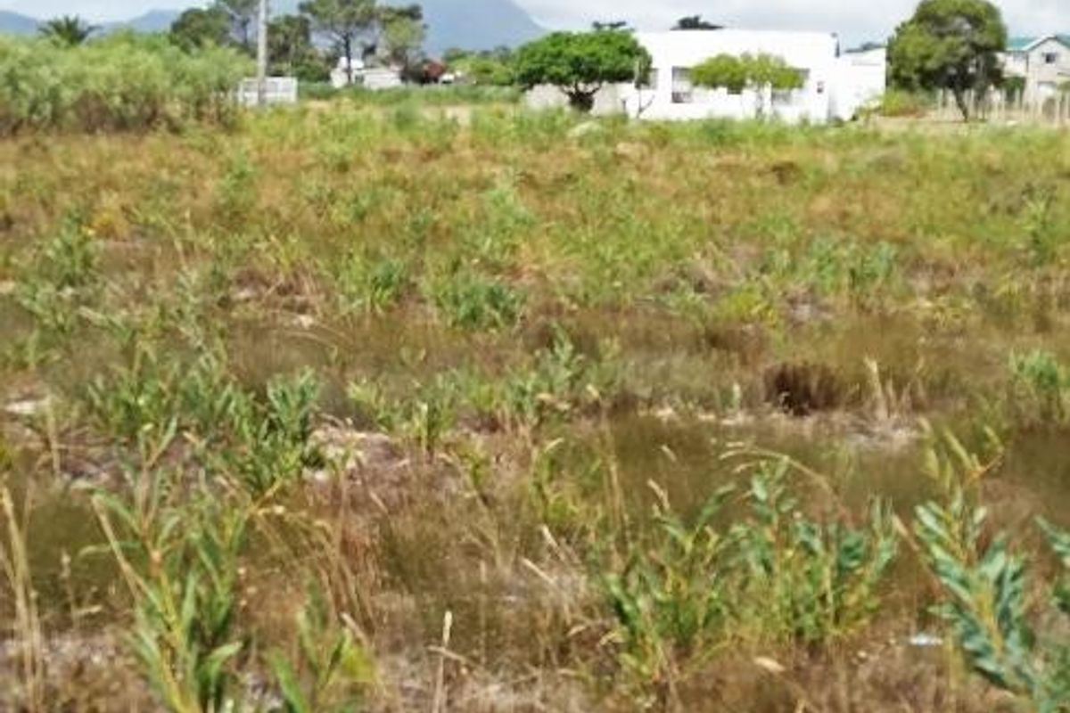 A Haven to Hold - Photo 2