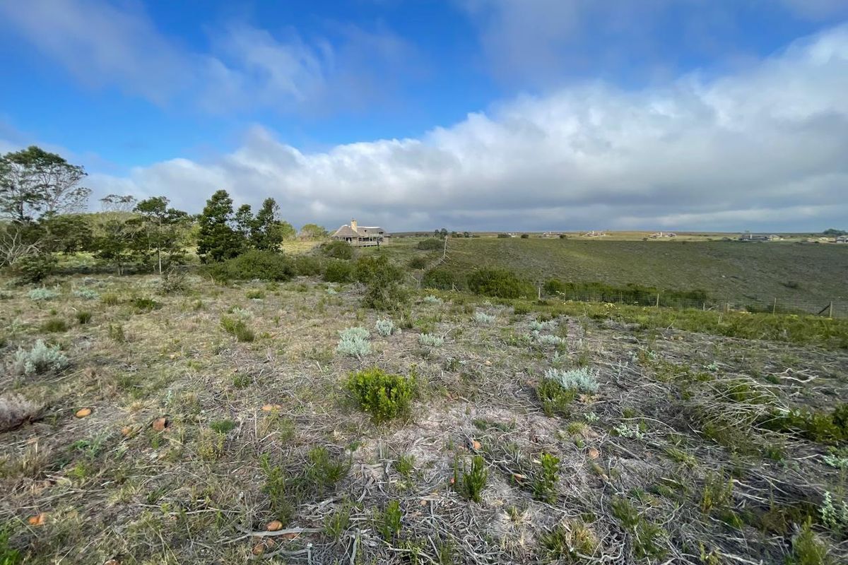 A wide-angle view of the vacant residential land featuring natural vegetation, rolling terrain, and distant neighboring properties under a blue sky.
