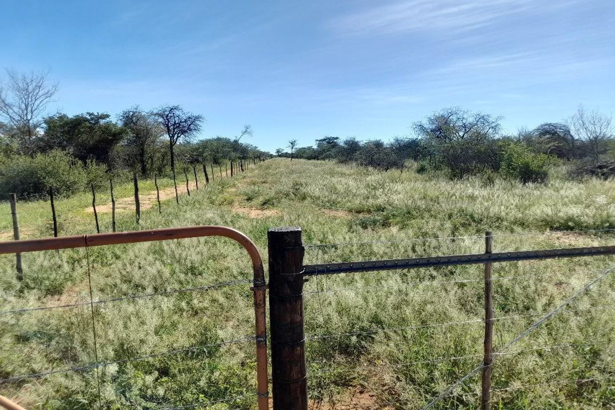 Expansive farm land featuring a wire perimeter fence, metal gate, and natural vegetation under a clear blue sky.
