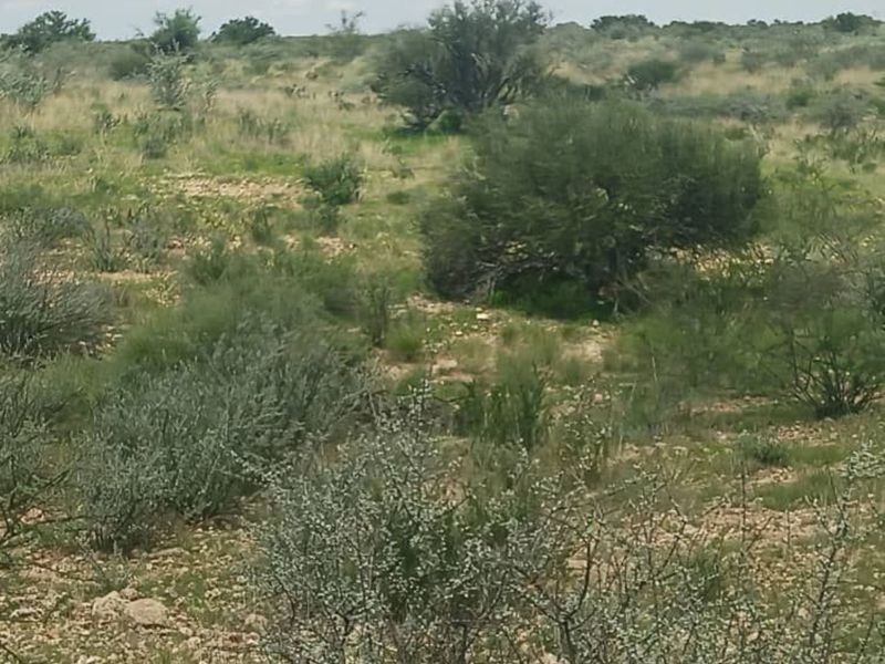 FOR SALE - FARM IN STAMPRIET, MARIENTAL AREA, NAMIBIA - Photo 6