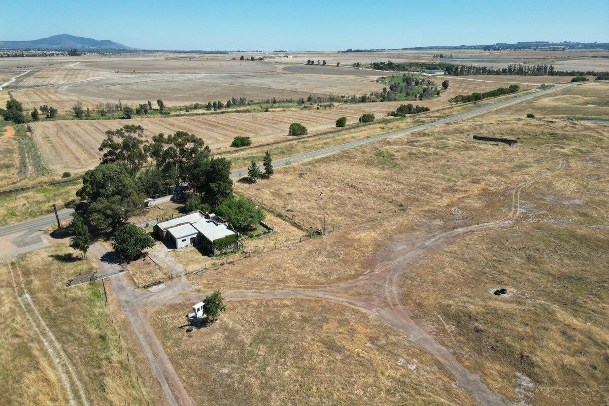 Commercial & Operating Business Farm (Outside Malmesbury) - Photo 5