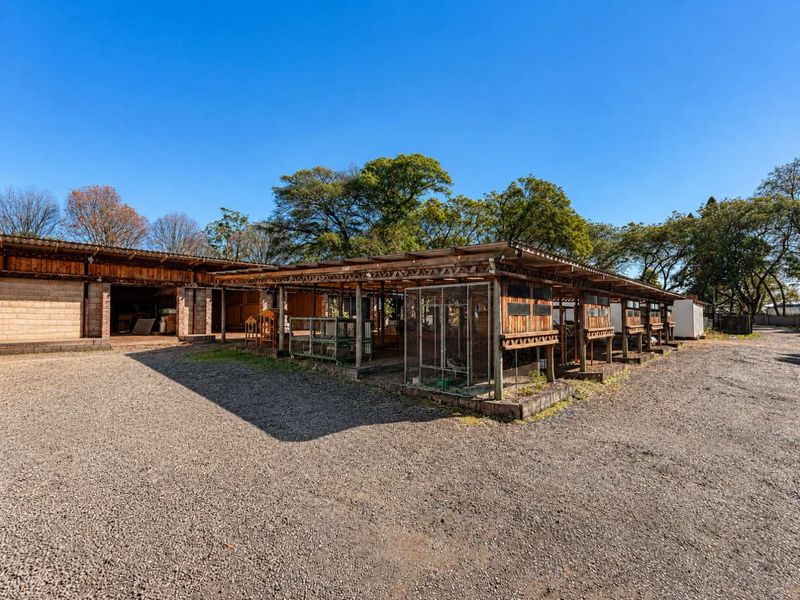 Retail Shop To Let – 56m2 Rustic Space in Prime Botha’s Hill Location - Photo 6