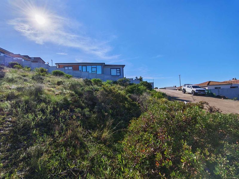 A sloped vacant residential plot featuring natural vegetation and a boundary wall, situated in a developed neighborhood.
