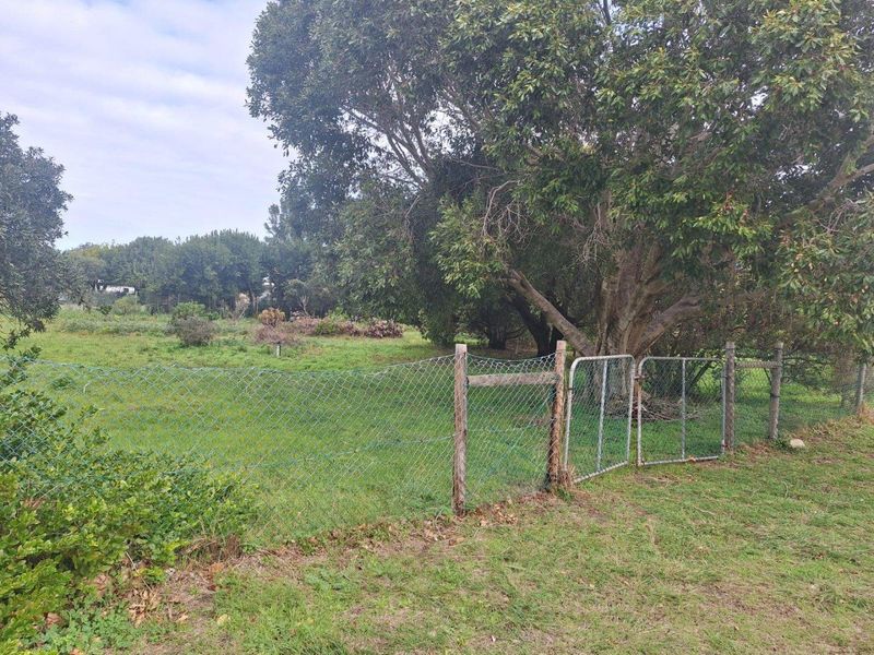 Spacious 2180m2 Plot with Mountain Views in the Mountain Avenues of Kleinmond. - Photo 2