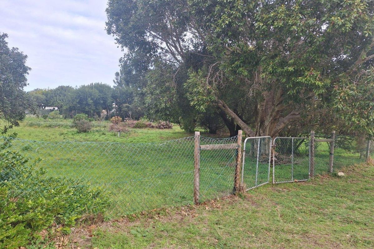 Spacious 2180m2 Plot with Mountain Views in the Mountain Avenues of Kleinmond. - Photo 2