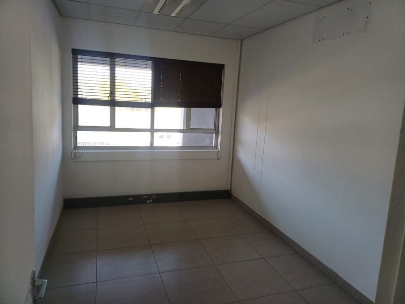 A vacant office space featuring tiled flooring, a drop ceiling with recessed lighting, and large windows fitted with venetian blinds.