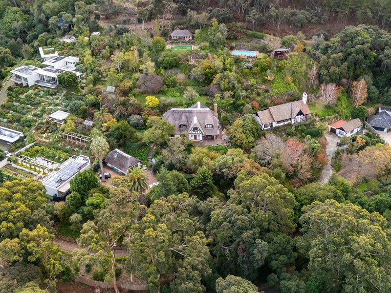 Witteboomen - a world above Constantia! - Photo 7