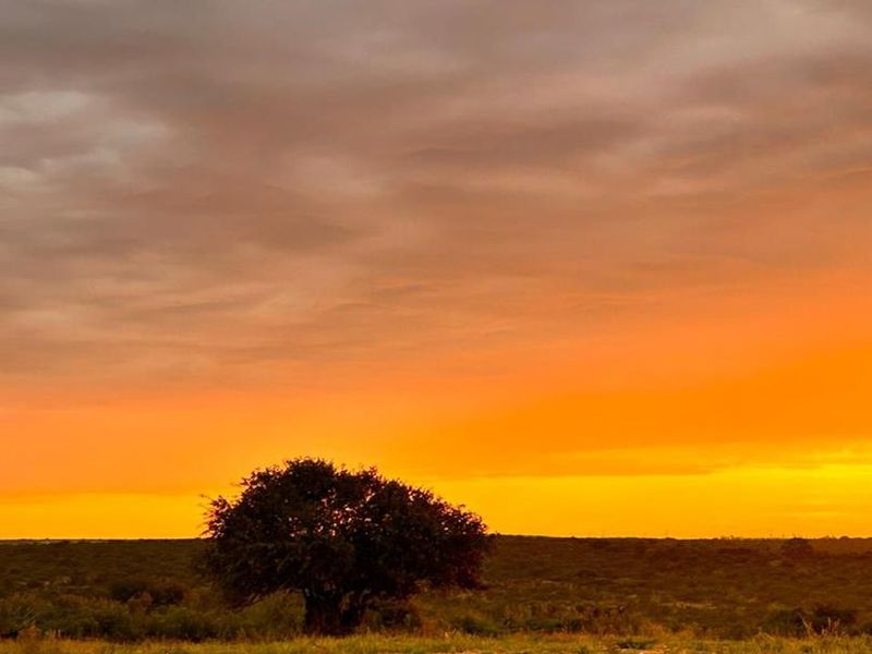 Prime Opportunity for Cash Buyers: Secure This Expansive Grazing Farm Property Today! - Photo 2